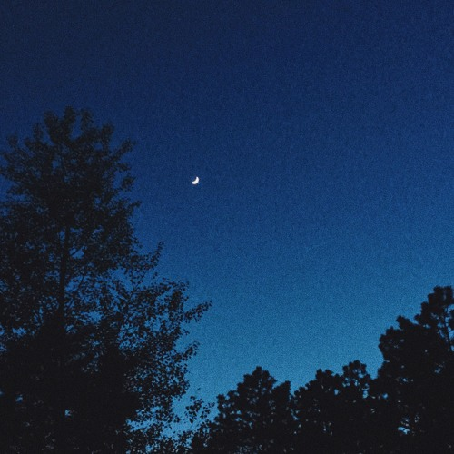 absentee