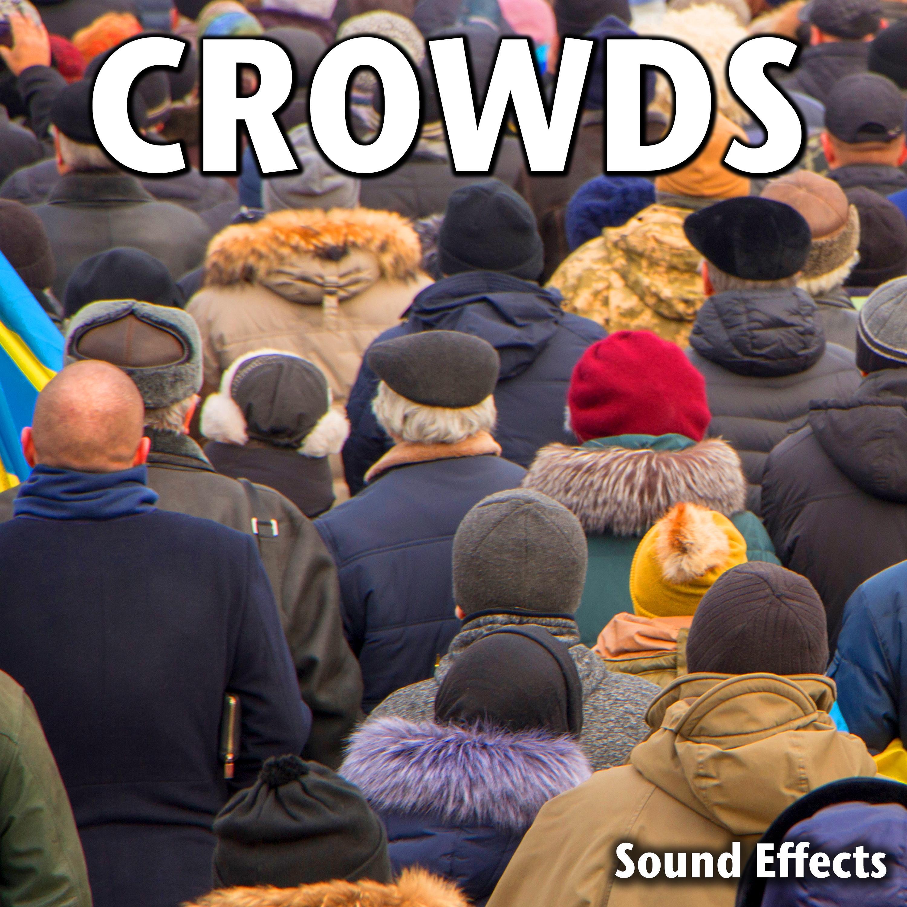 Crowds Sound Effects