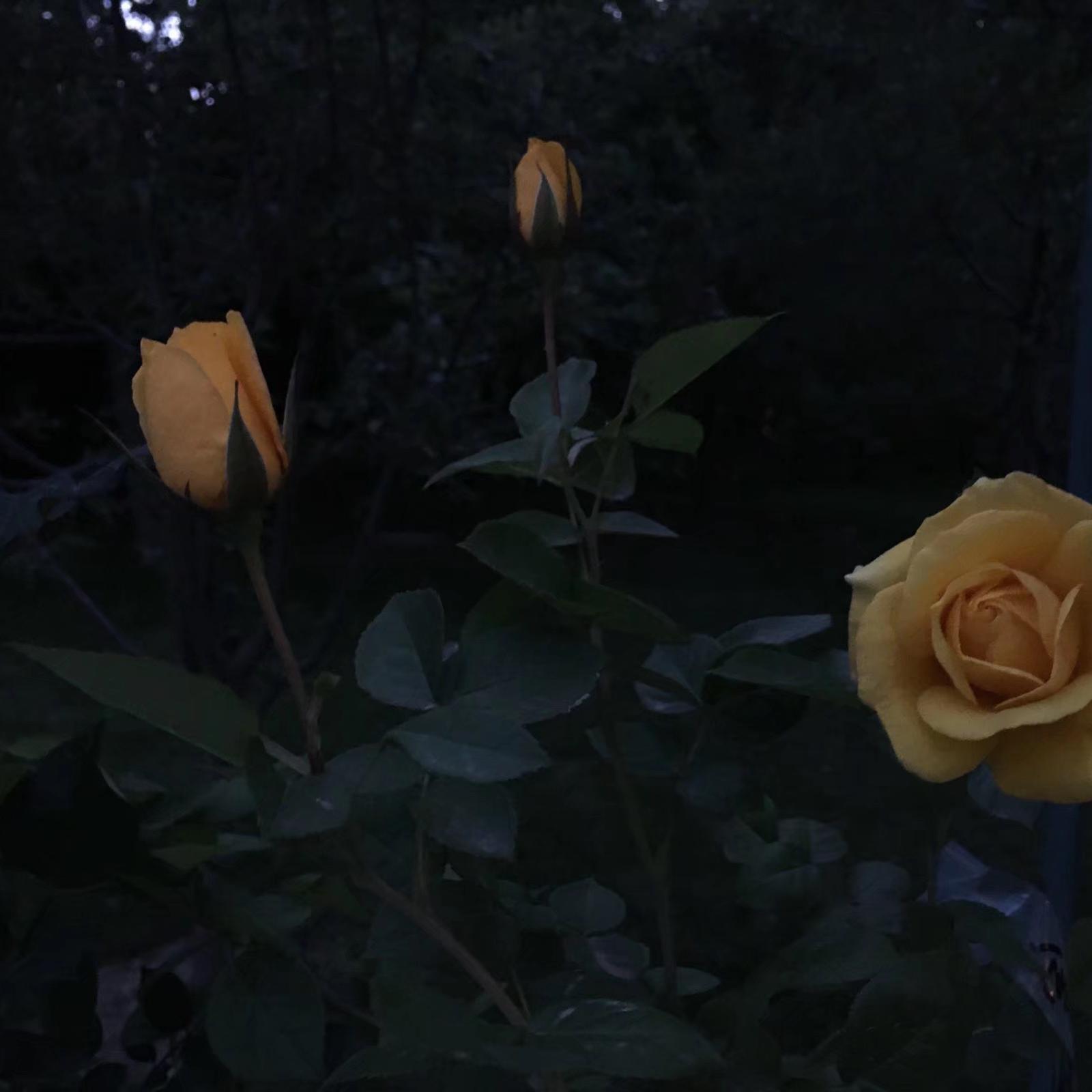 6.15
