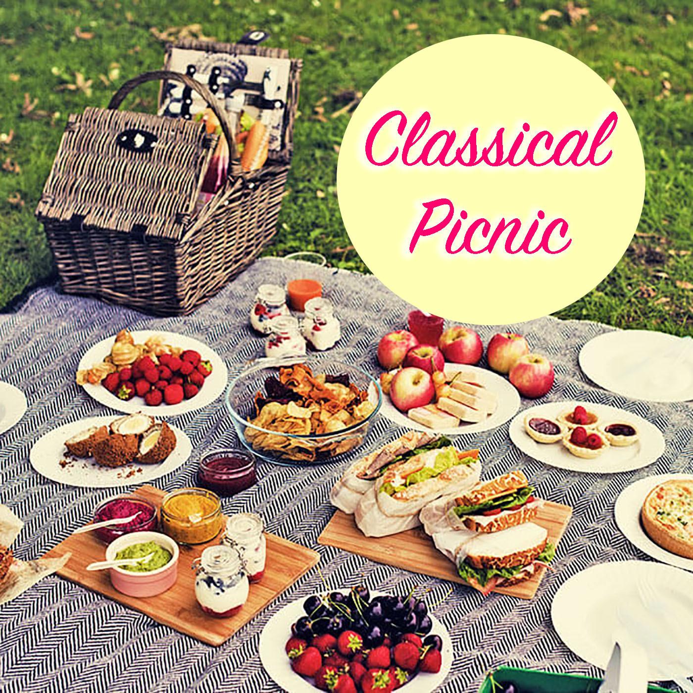 Classical Picnic