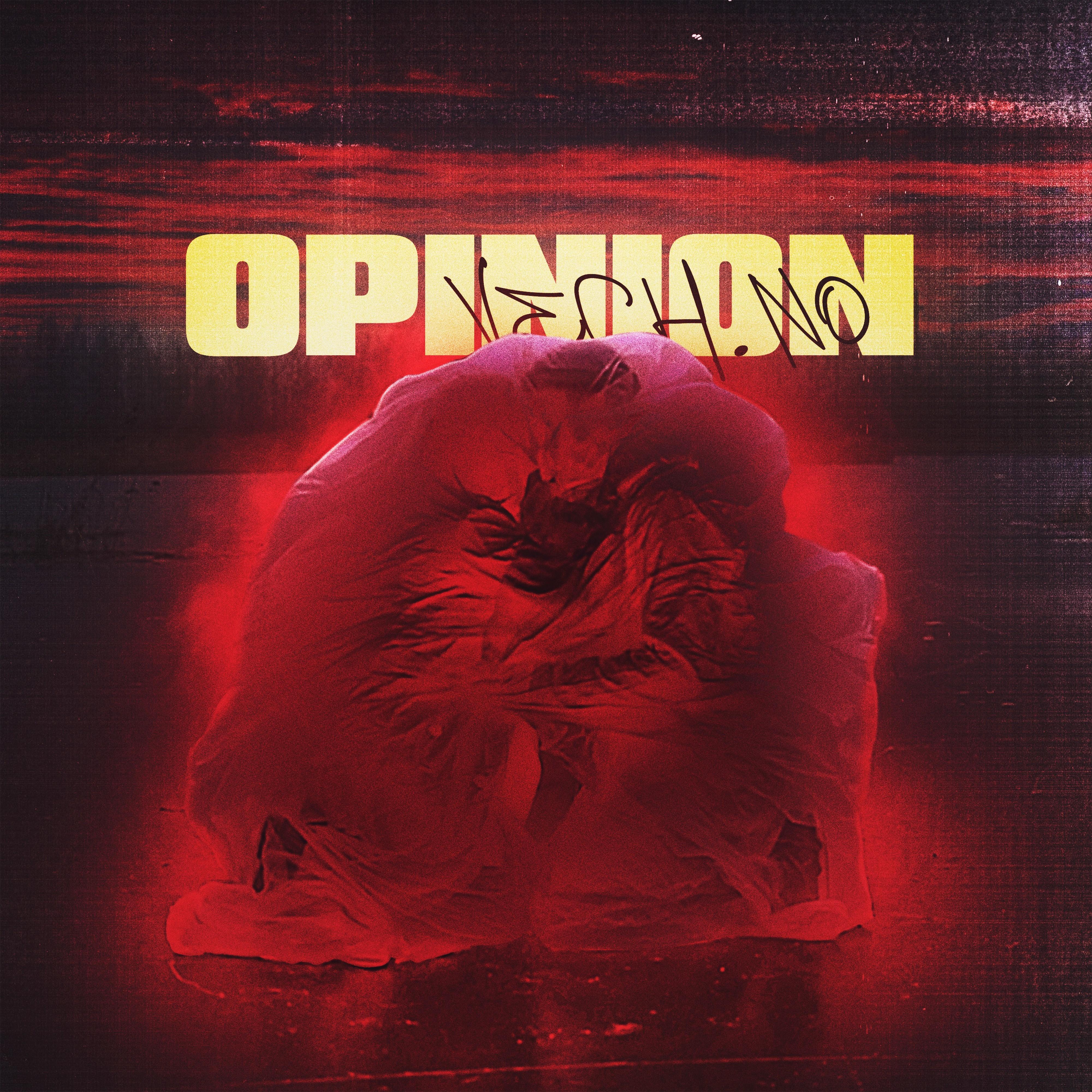 Opinion