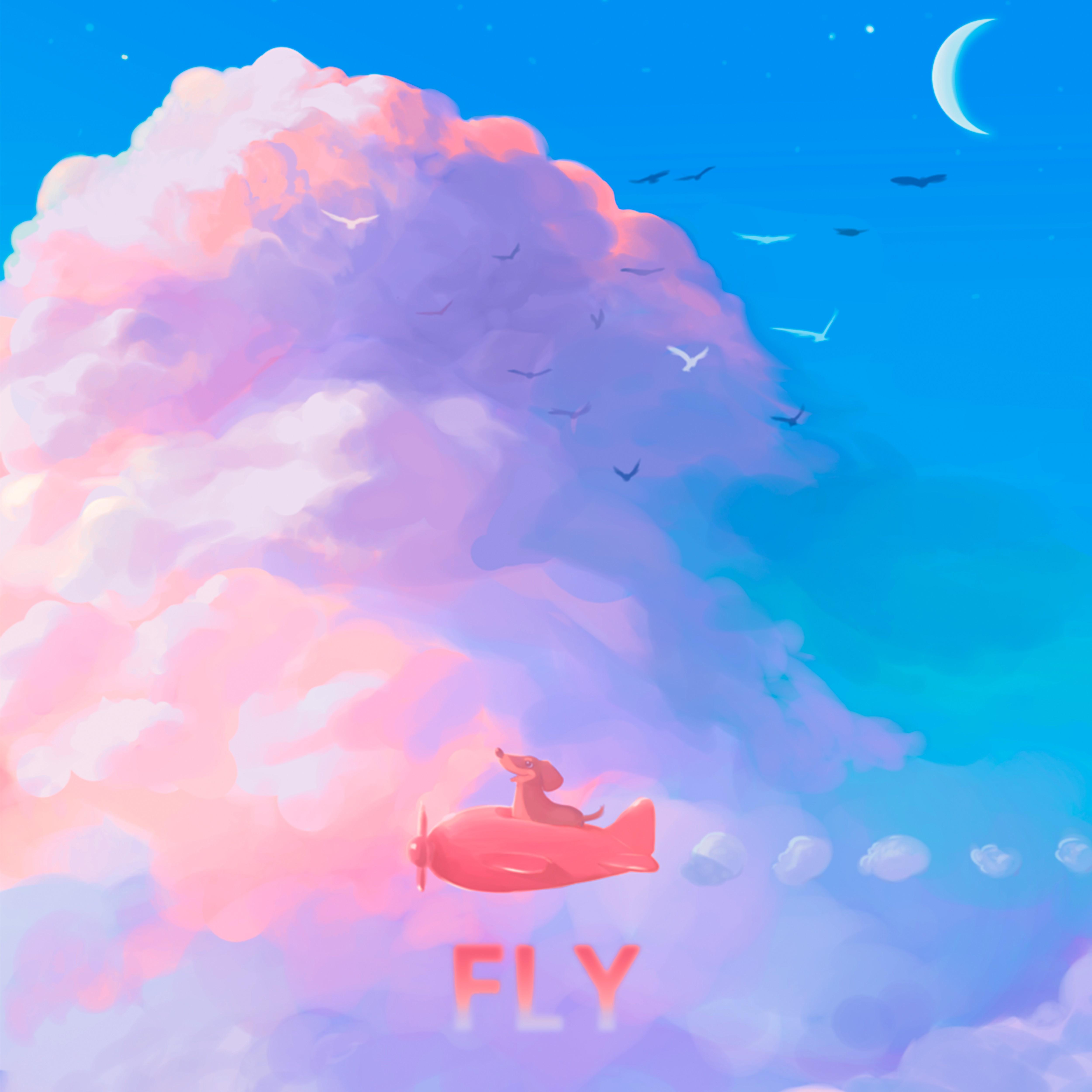 Fly