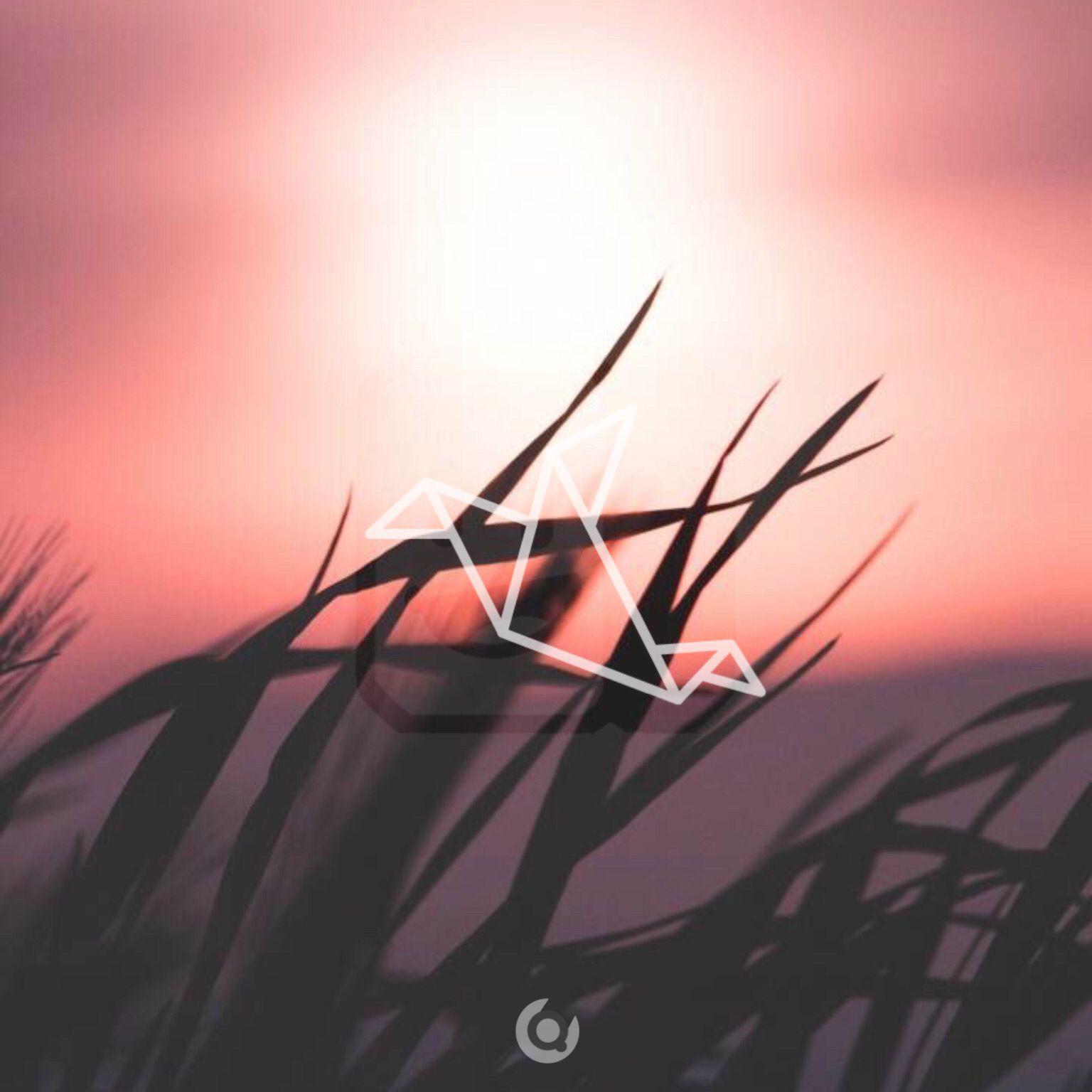 Dream