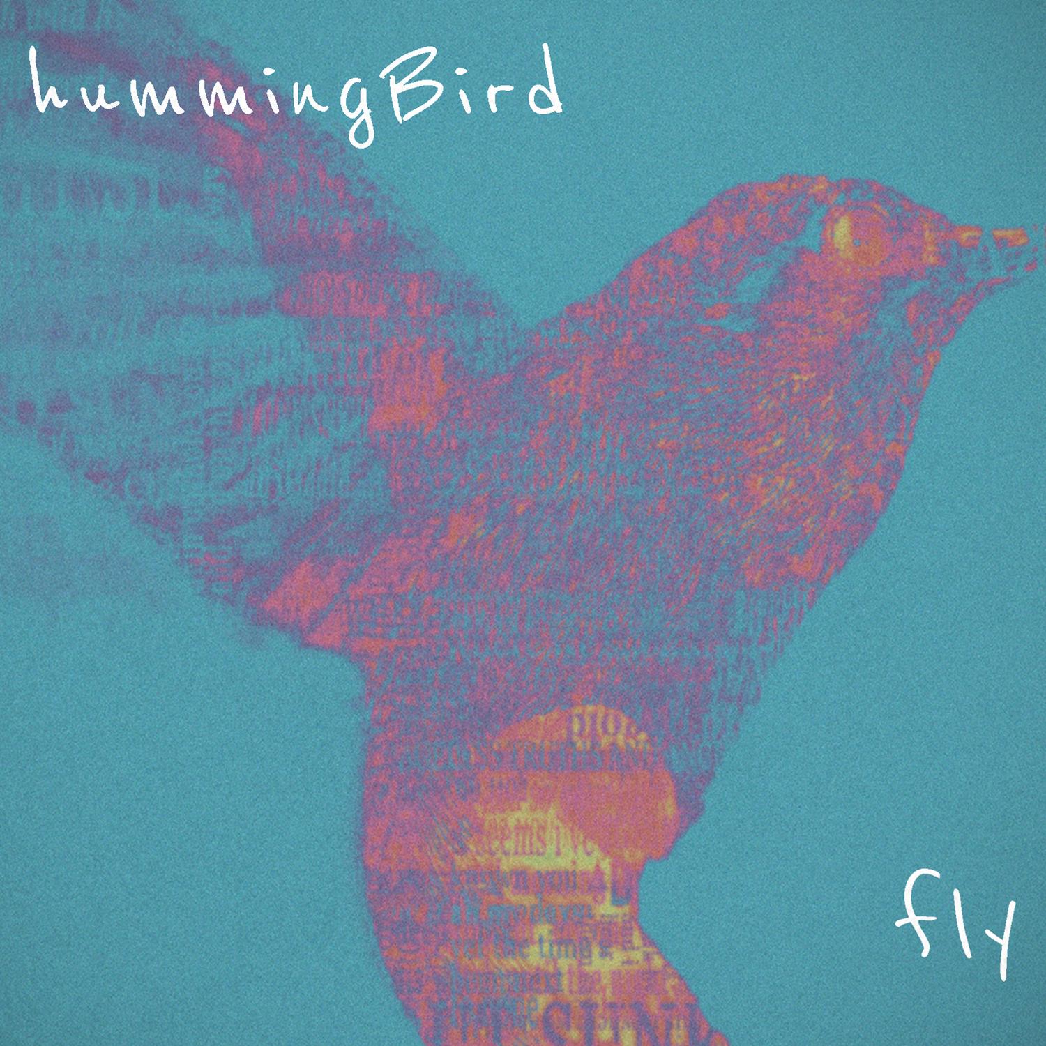 Fly