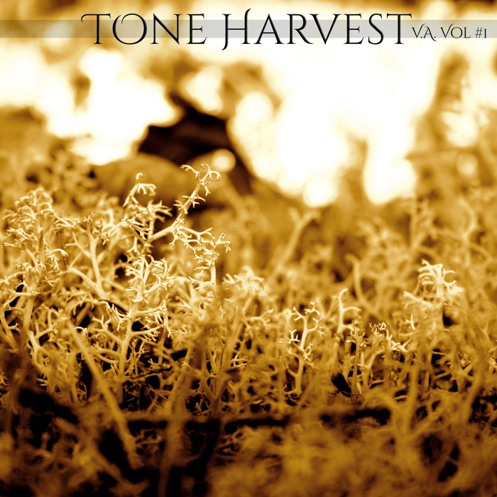 Tone Harvest V.A. Vol #1