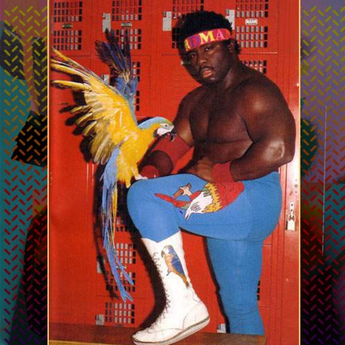 Koko B Ware