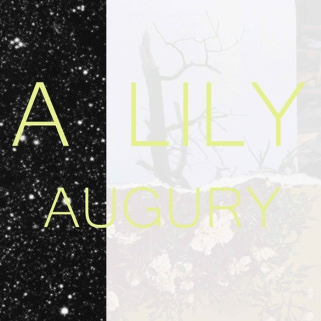 Augury