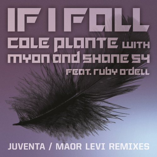 If I Fall (Maor Levi Remix)