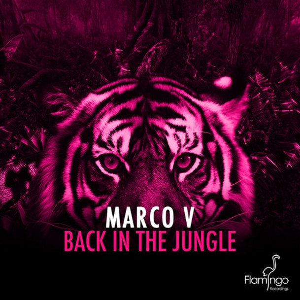 Back In The Jungle (Original Mix)