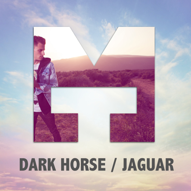 Dark Horse / Jaguar - Single
