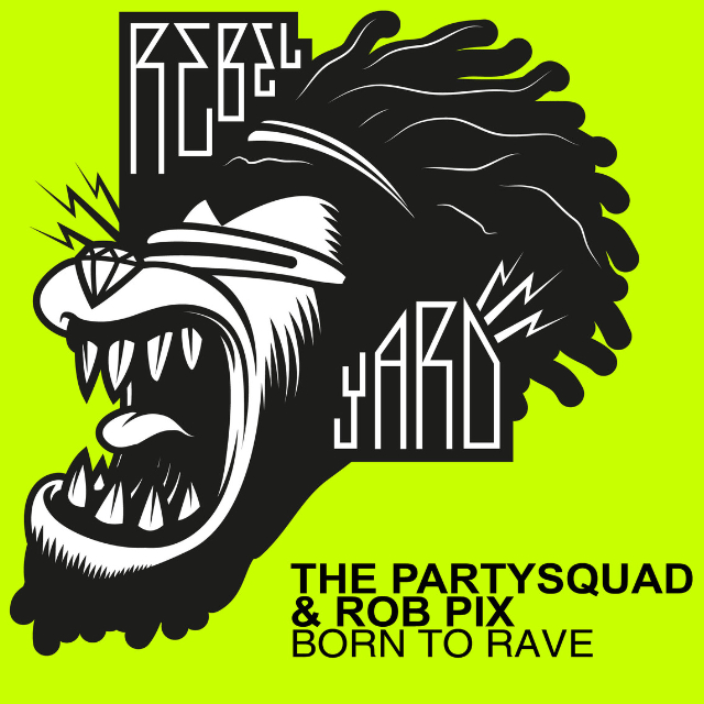 Born To Rave - Single