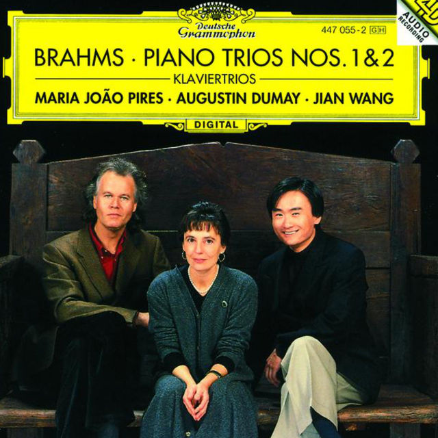 Brahms: Piano Trio No.2 In C, Op.87 - 2. Andante con moto