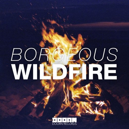 Wildfire (Original Mix)