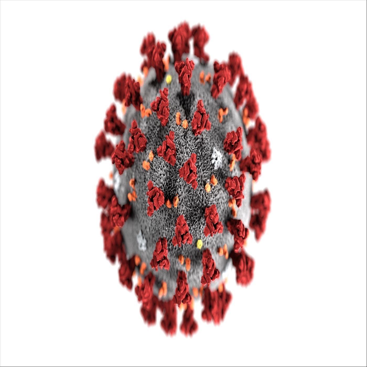 El Virus