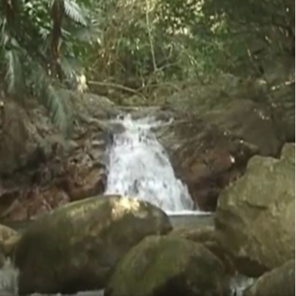 cun zai