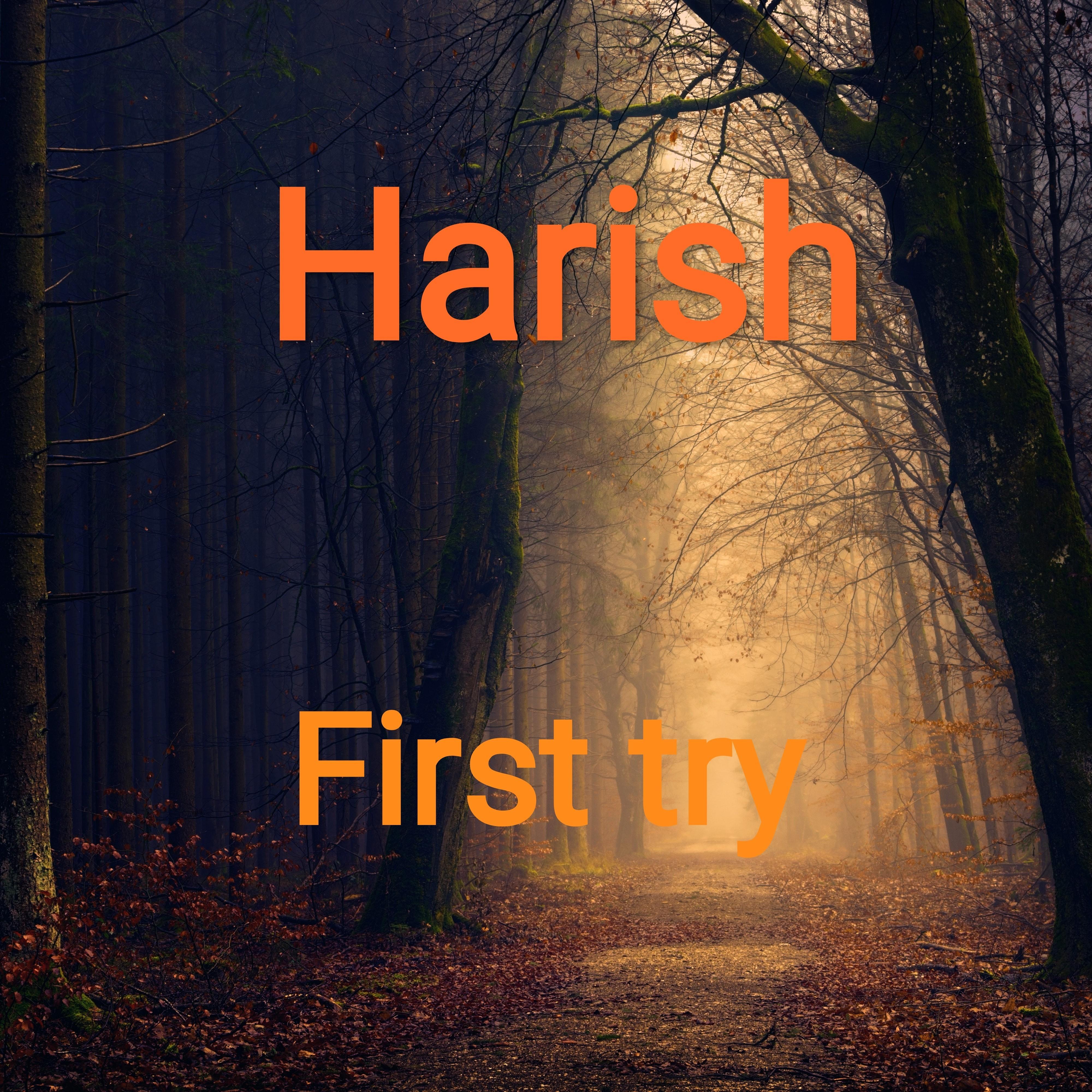 First Try