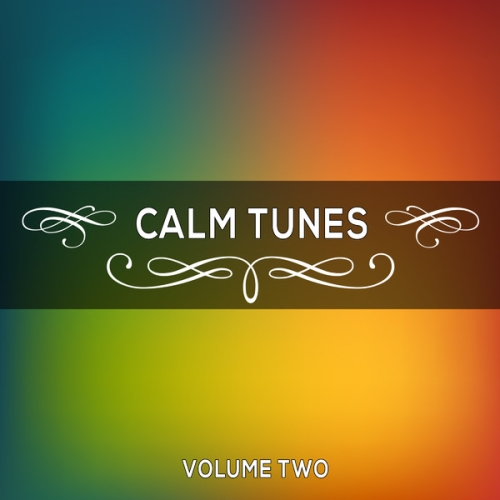 Calm Tunes, Vol. 02 
