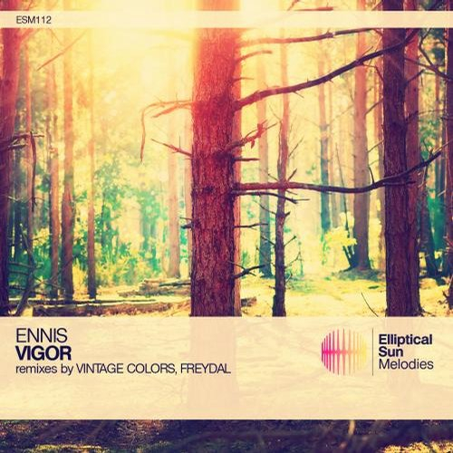 Vigor (Original Mix)