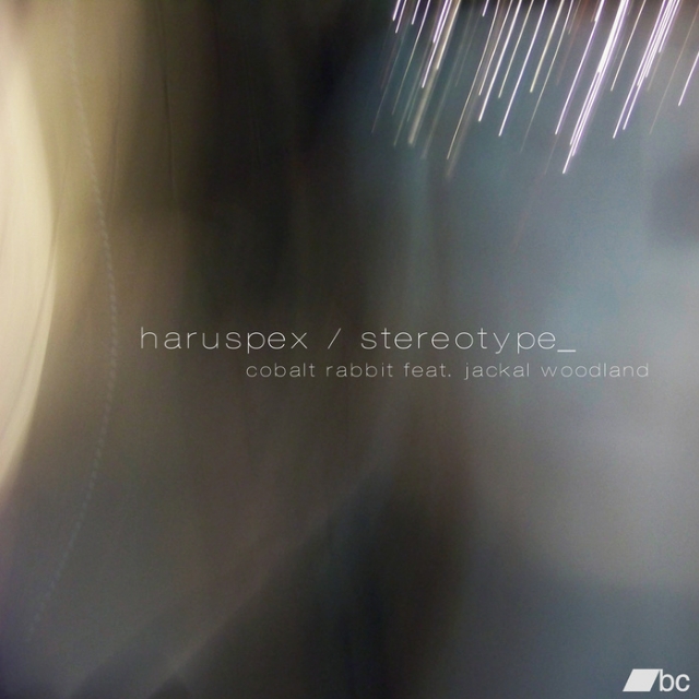 Haruspex / Stereotype EP