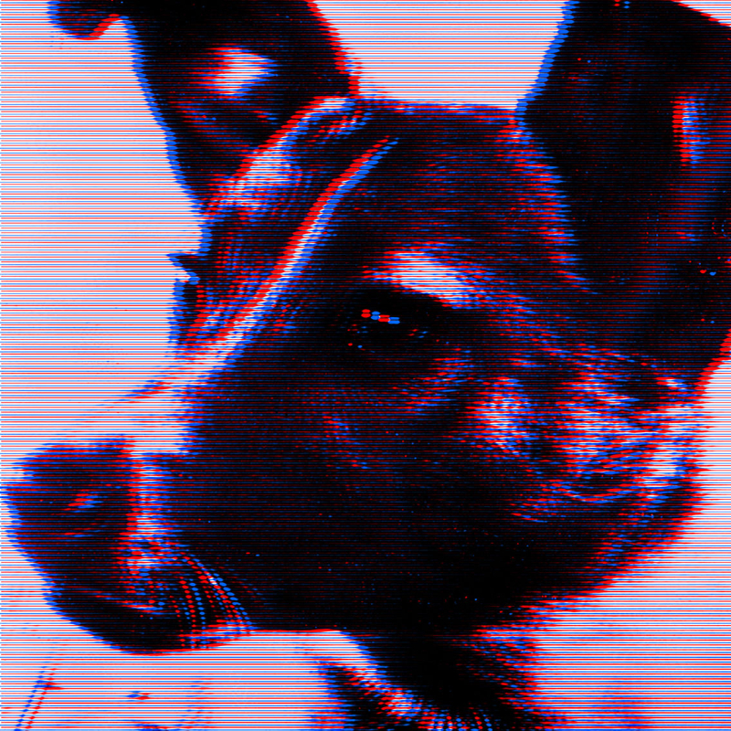 Laika