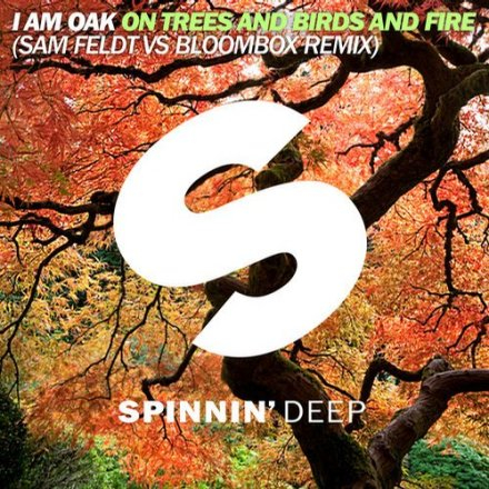 On Trees And Birds And Fire (Sam Feldt vs. Bloombox Remix)