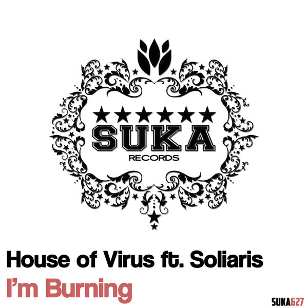 I'm Burning (feat. Soliaris) (Radio Edit)