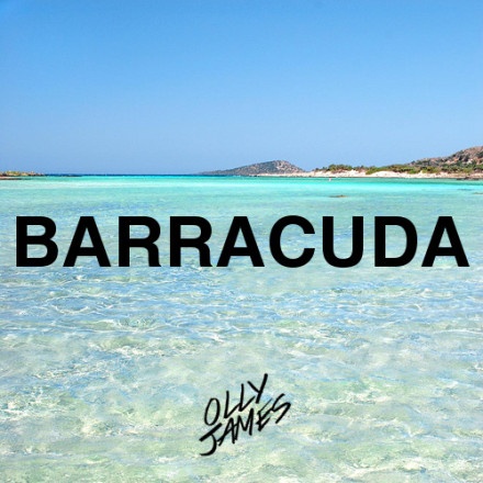 Barracuda (Original Mix)