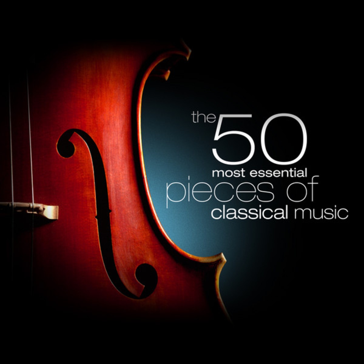 Concerto for Violin and Orchestra Op. 64 in E Minor: I. Allegro molto appassionato