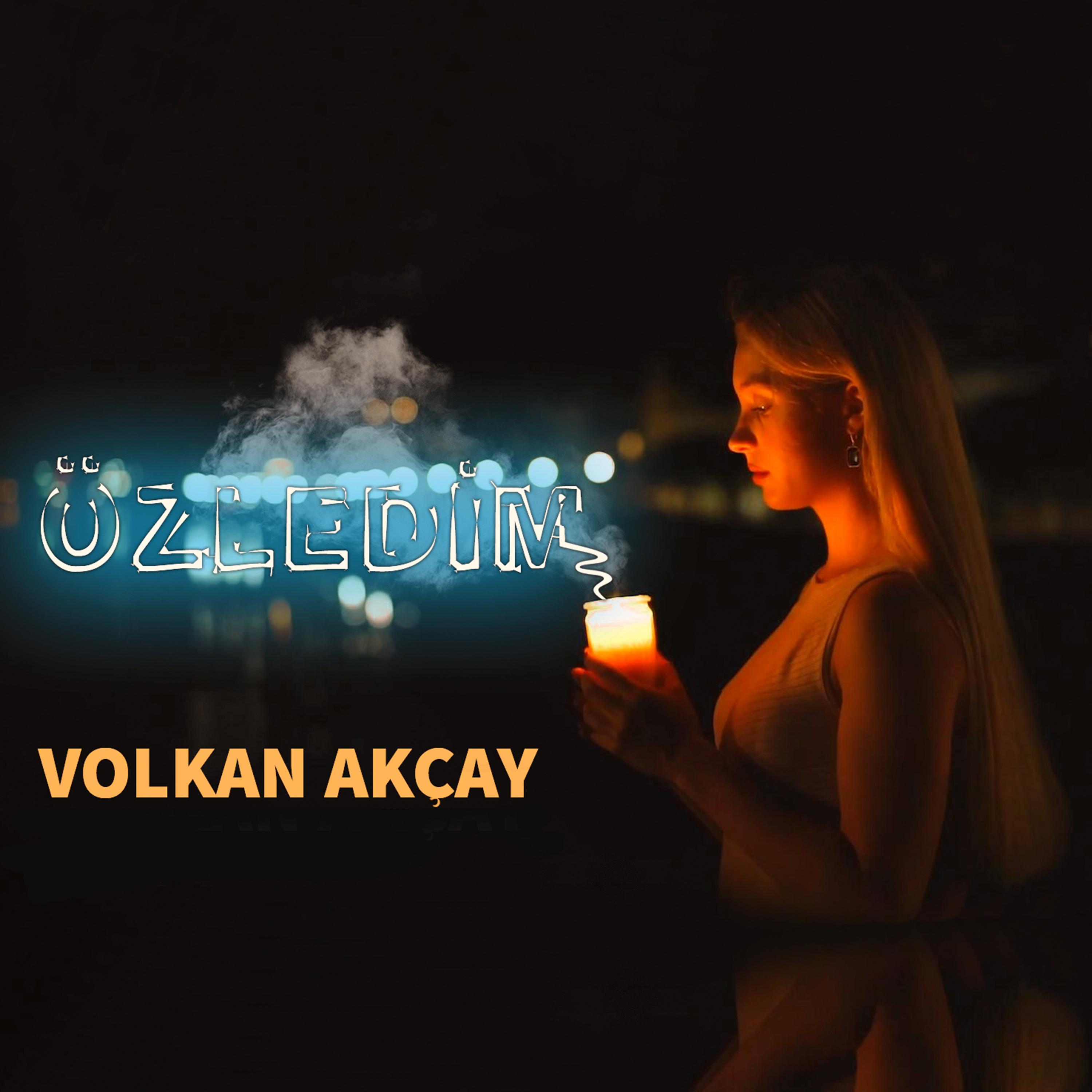 zledim