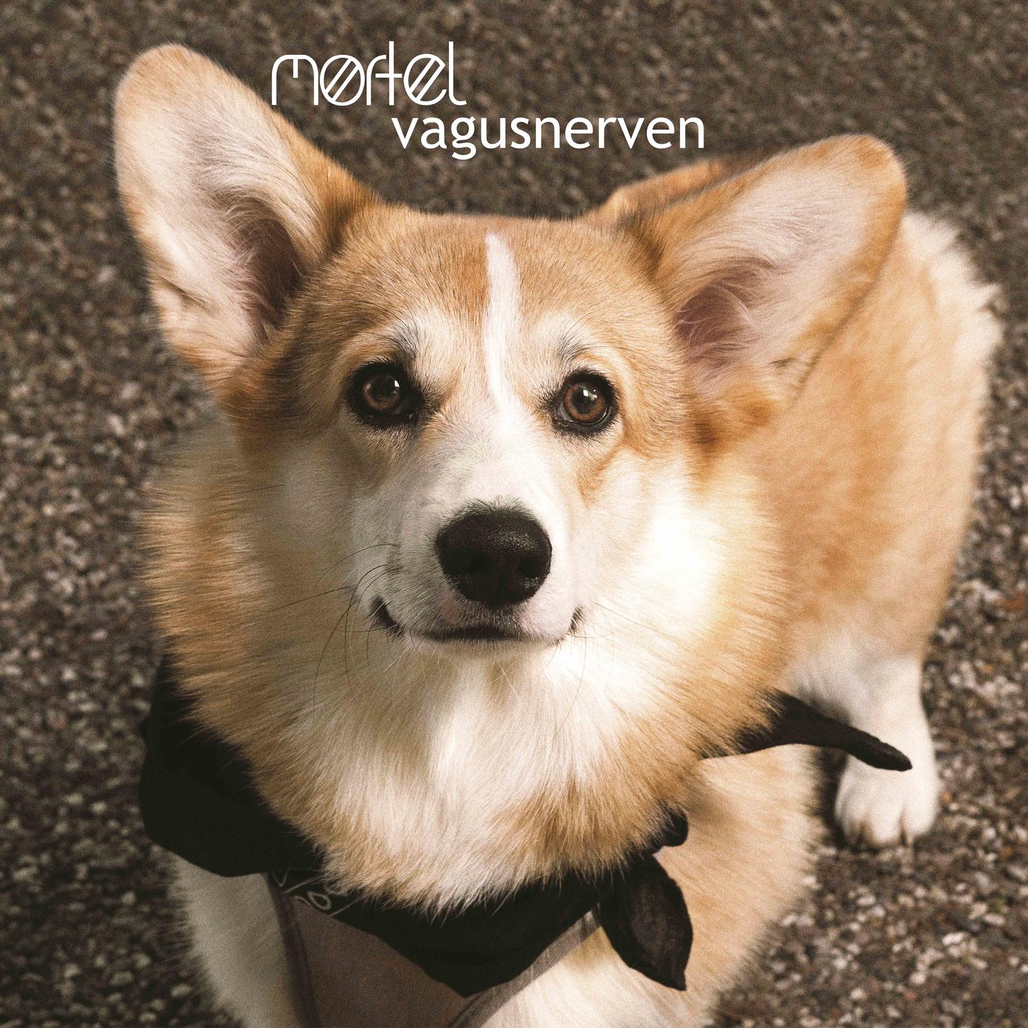 Flad h nd
