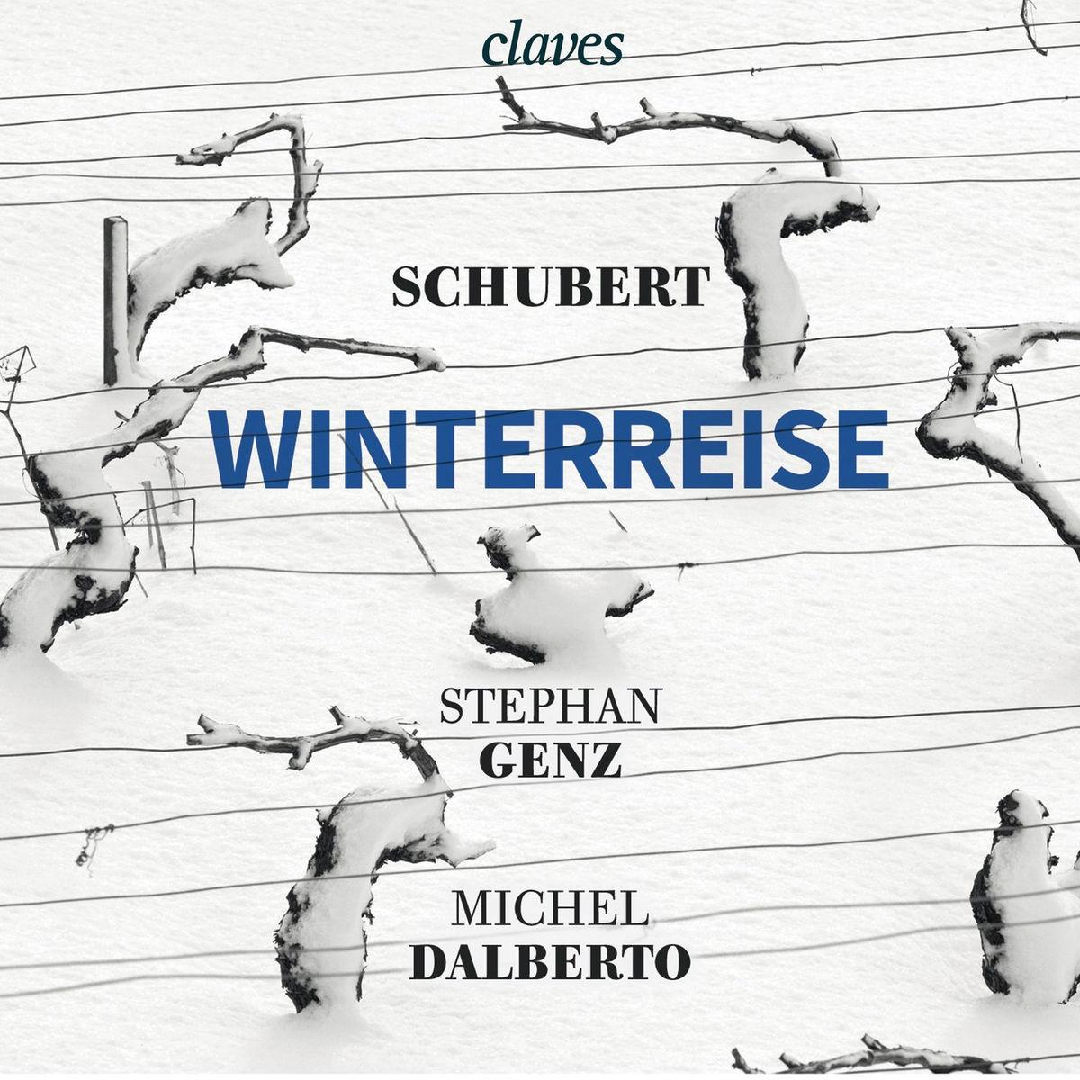 Winterreise, D. 911: X. Rast