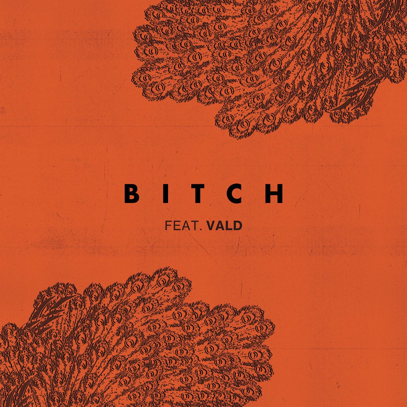 Bitch