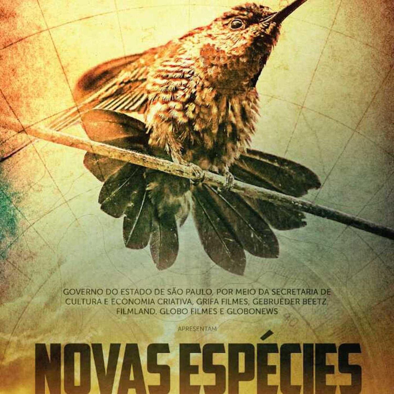 Avan ando Norte