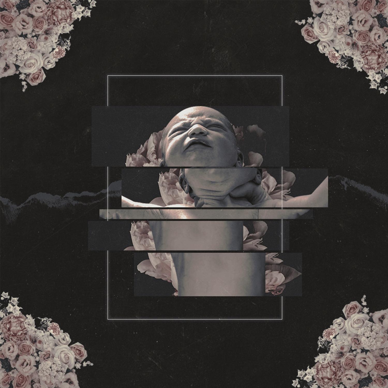 Born Rotten