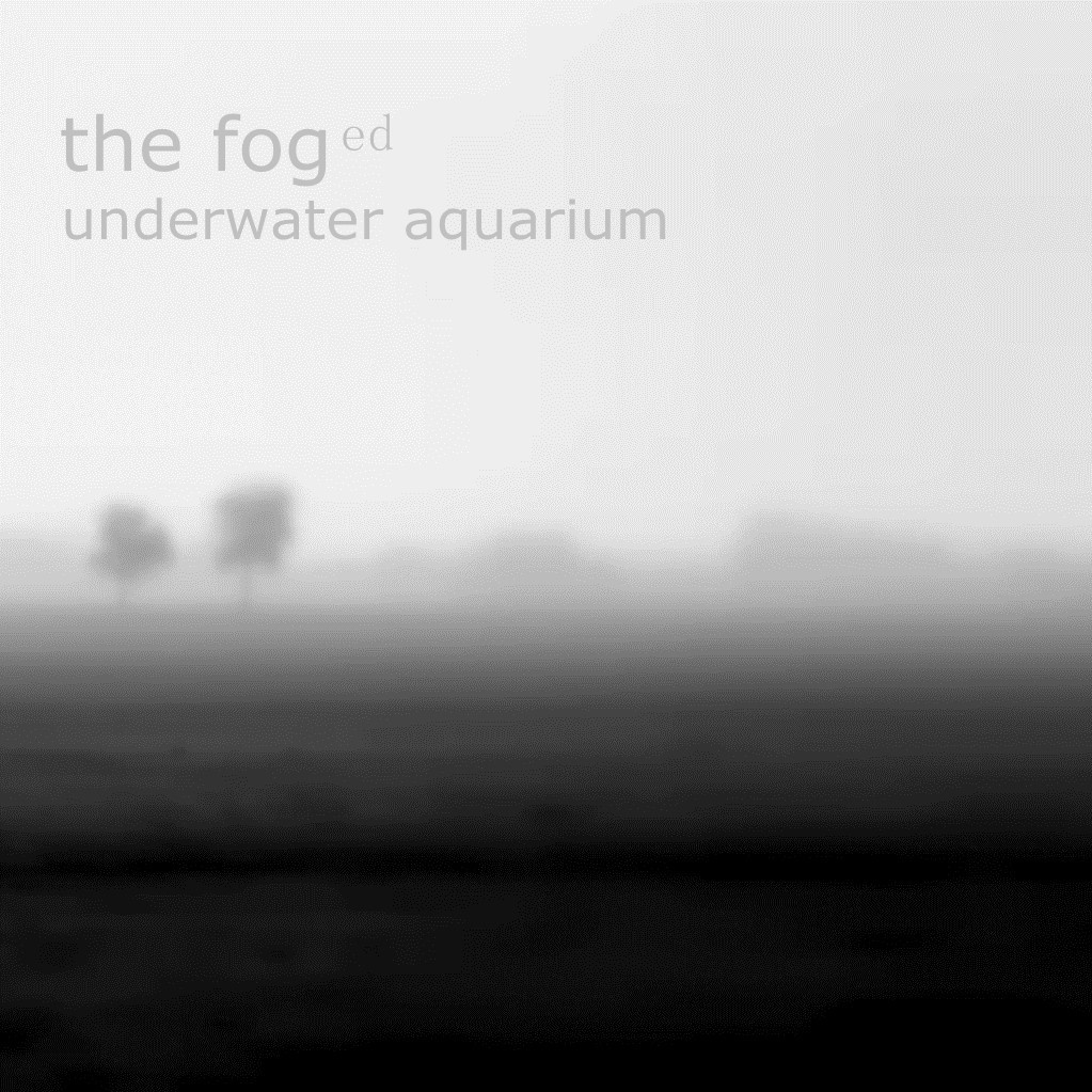 the fog