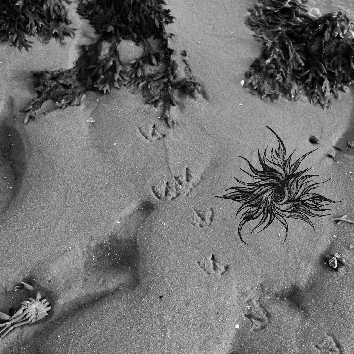 Disgusting And Intense