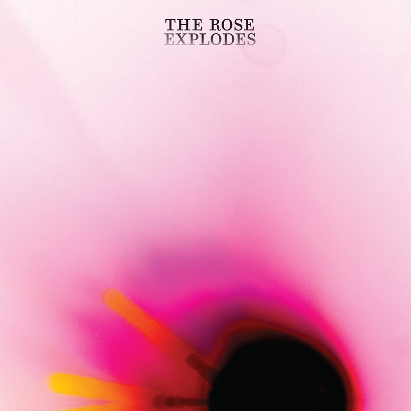 The Rose Explodes