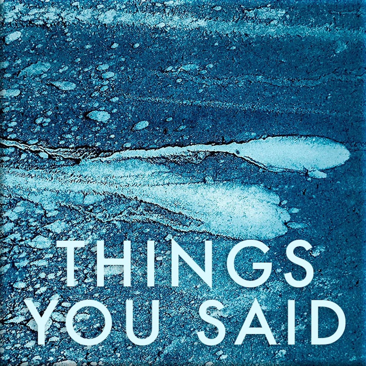 Things You Said