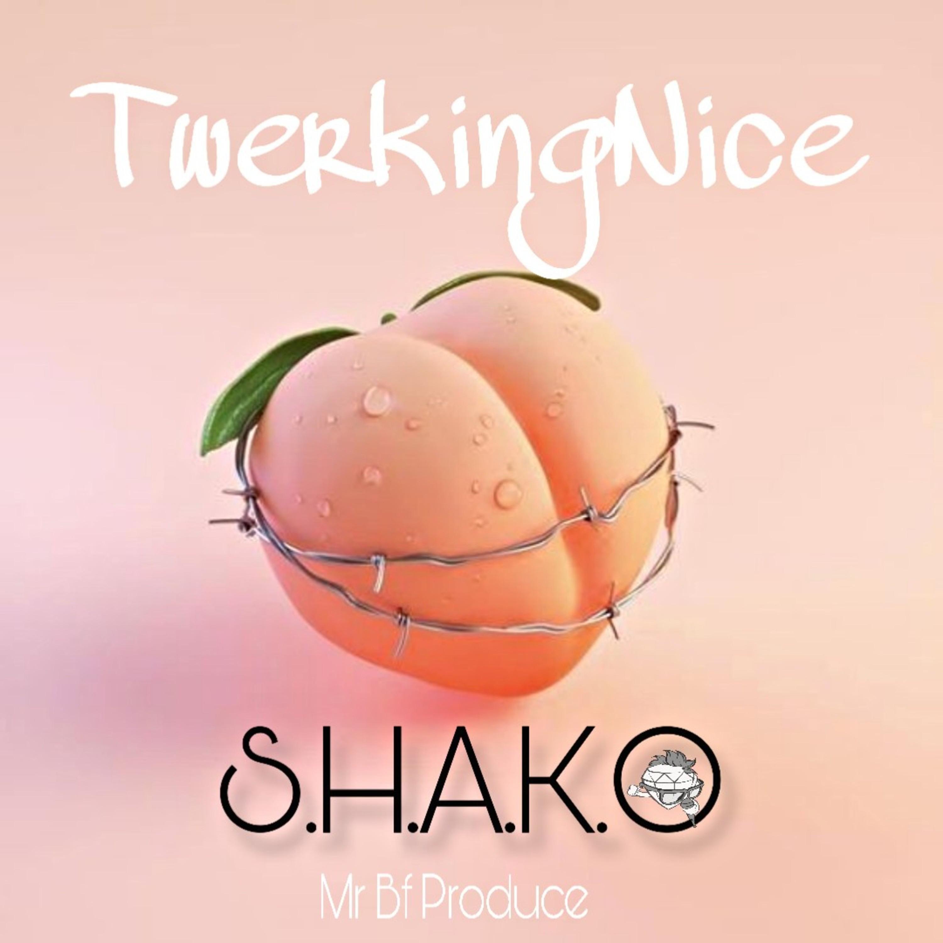 TwerkingNice