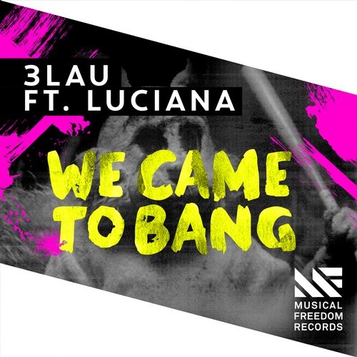 We Came To Bang (Original Mix)