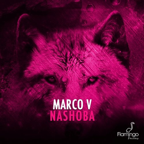 Nashoba (Original Mix)