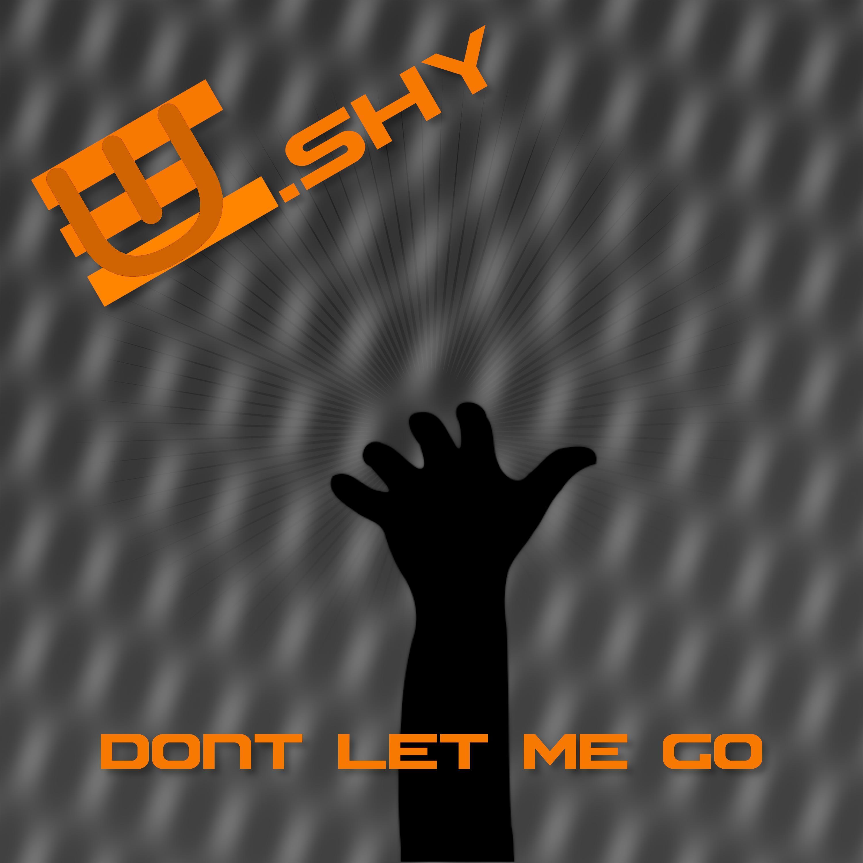 Don't Let Me Go