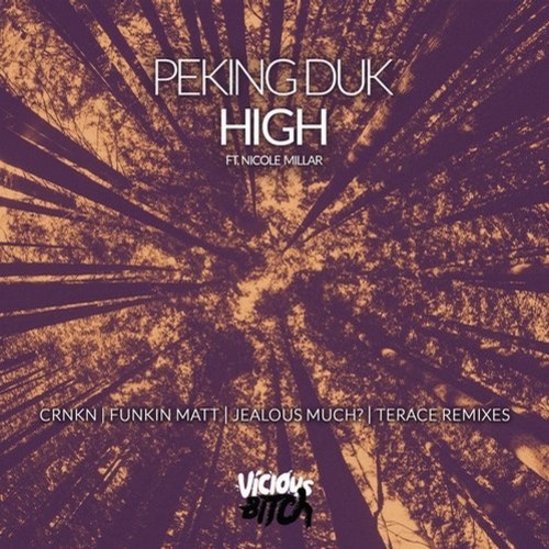 High (feat. Nicole Millar) [US Radio Edit]