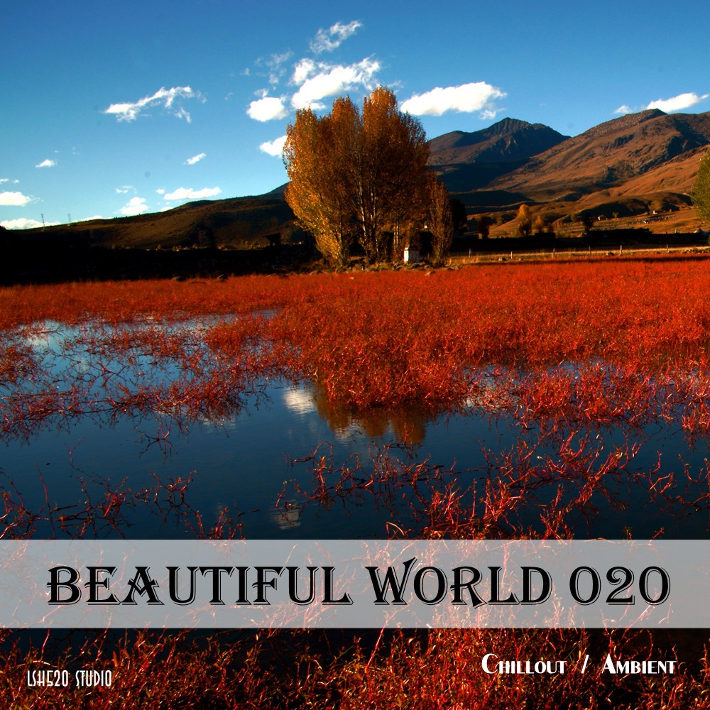 Beautiful world 020