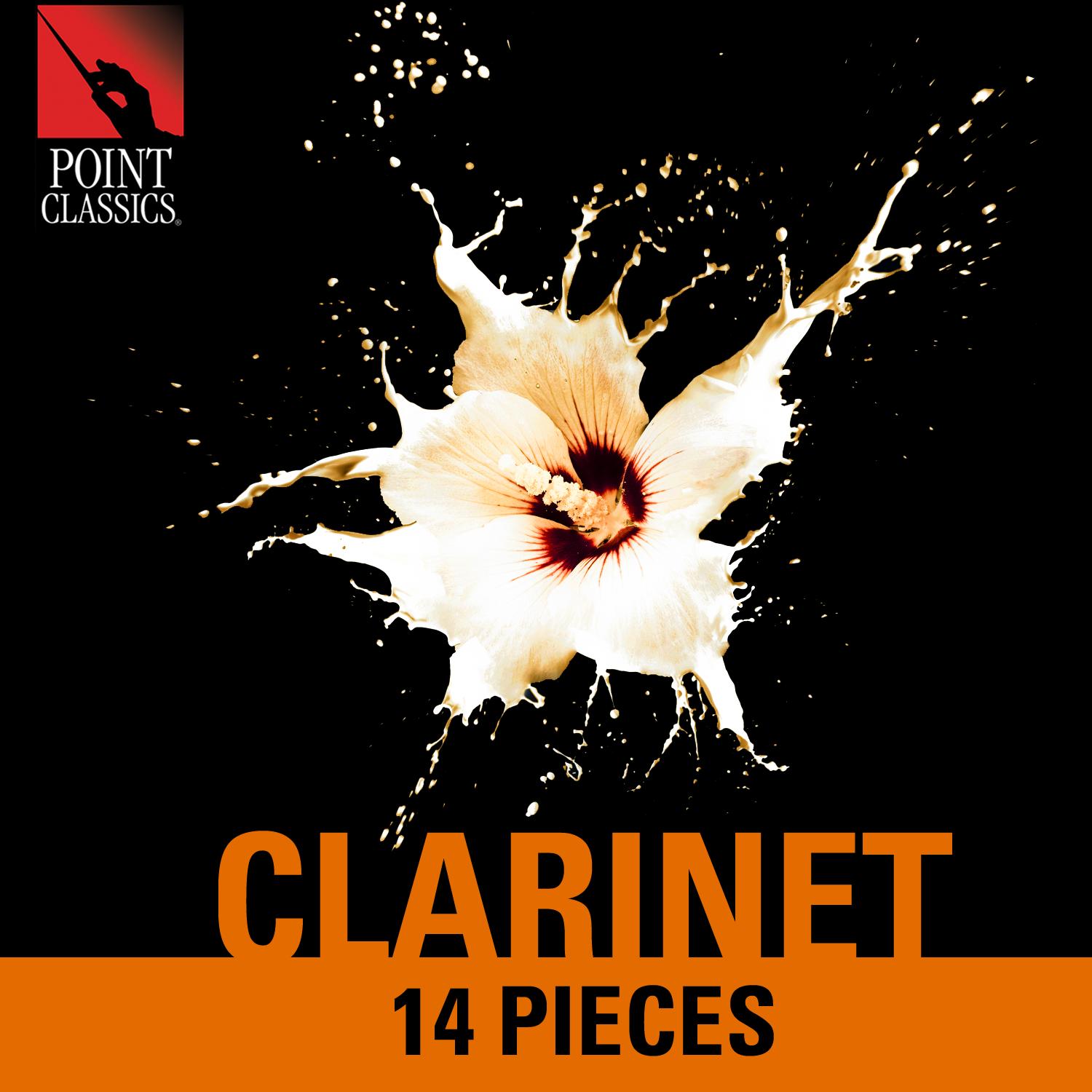 Clarinet Concerto No. 10 in B-Flat Major: I. Allegro Moderato