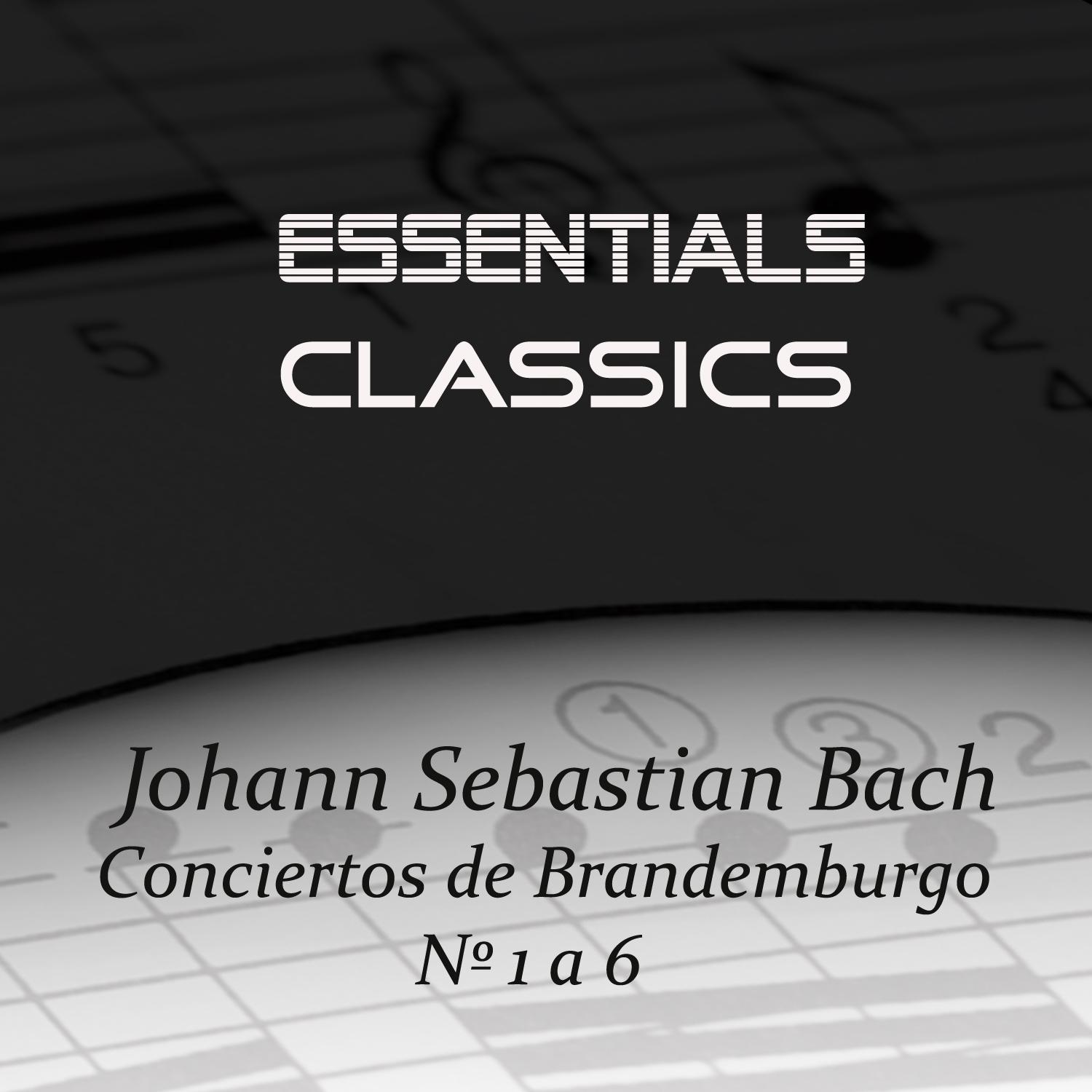 Bach: Conciertos de Brandenburgo No. 1 a 6