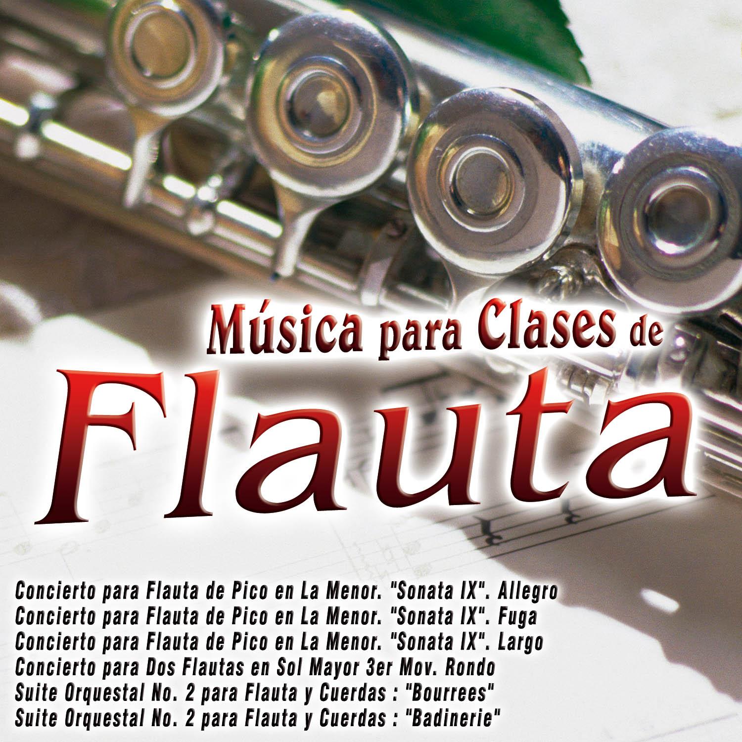 Concierto para Flauta de Pico en La Menor. "Sonata IX". Allegro