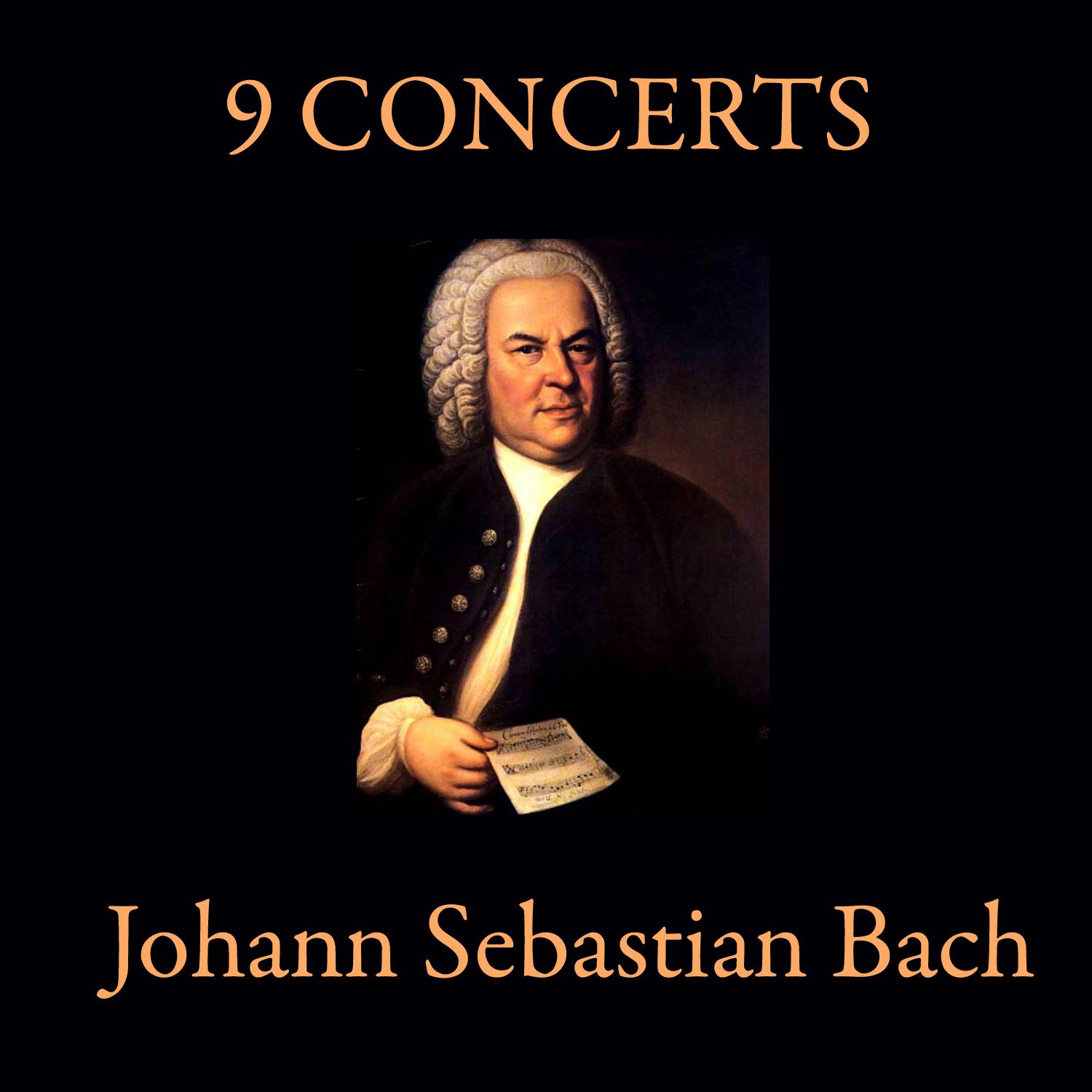 Concerto for violin strings and basso continuo in A minor (BWV 1041) Andante