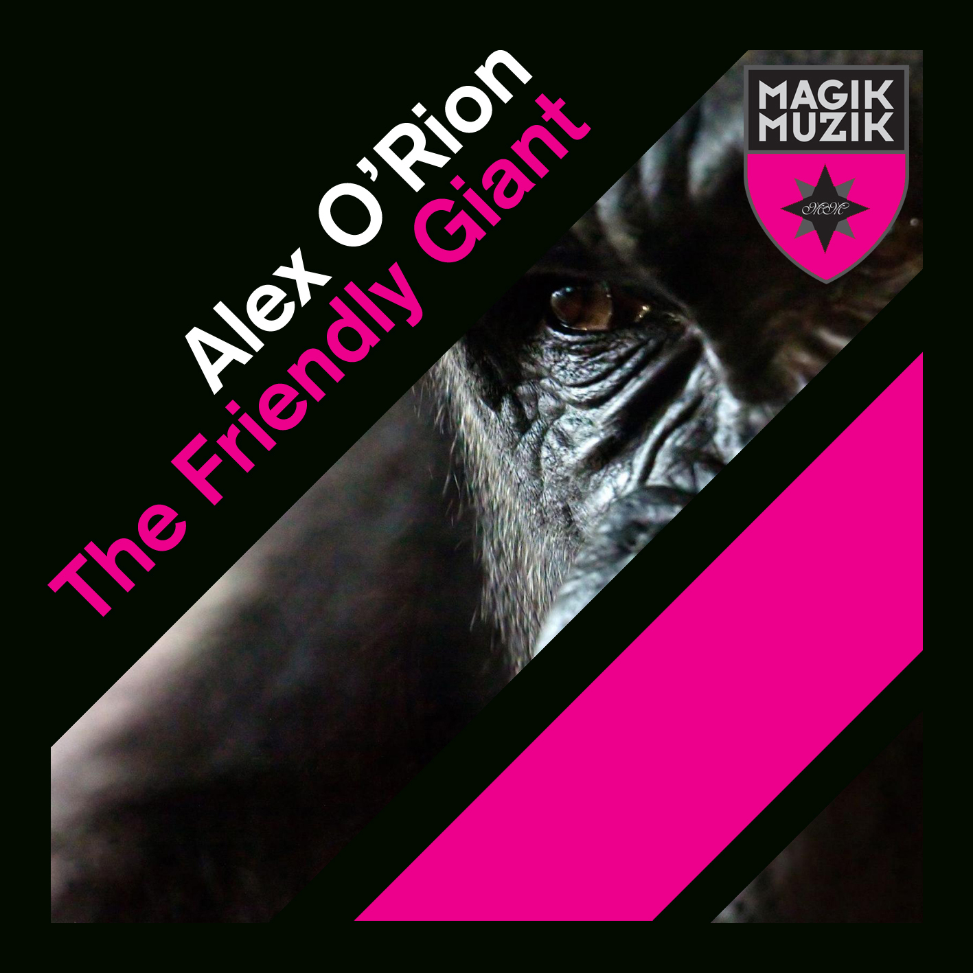 The Friendly Giant (Second Way Remix)