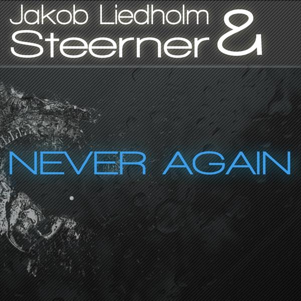 Never Again (Original Mix)